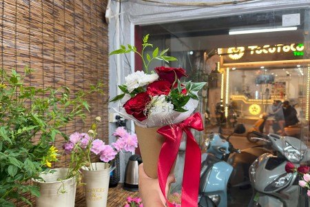Bó Cao Nguyên Bạch Đàn