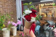 Bó Cao Nguyên Bạch Đàn