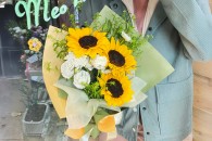 Bó Hướng Dương Lan Tường