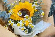 Bó Hướng Dương Mini