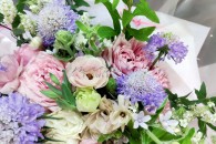 Bó Juliet Cánh Bướm Tiểu Tú Cầu