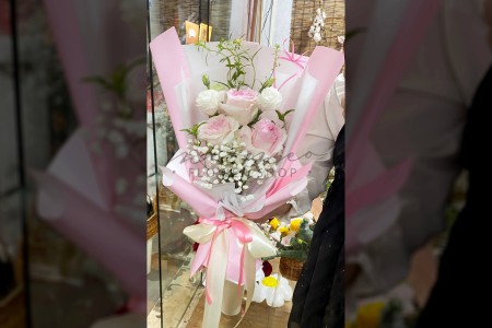 Bó Lạc Thần Lan Tường Baby