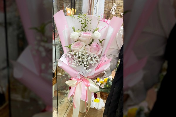 Bó Lạc Thần Lan Tường Baby
