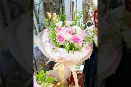 Bó Lạc Thần Lan Tường