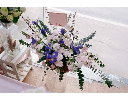 Lẵng Diễn Vy Anh Đào