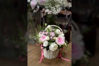 Lẵng Mao Lương Cẩm Chướng Lan Tường