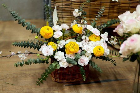 Lẵng Mao Lương Cẩm Chướng