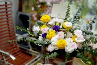 Lẵng Mao Lương Cẩm Chướng
