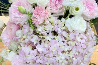 Lẵng Mao Lương VIP Cẩm Chướng Tú Cầu