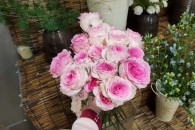 Hồng Lạc Thần