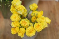Hồng Vàng Nữ Thần Ánh Trắng
