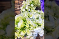 Cẩm Tú Cầu ( Xanh )