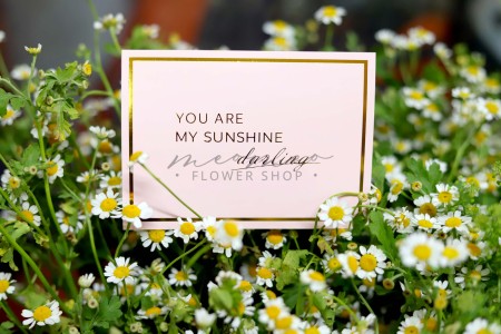 Thiệp You Are My Sunshine