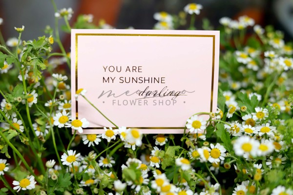 Thiệp You Are My Sunshine
