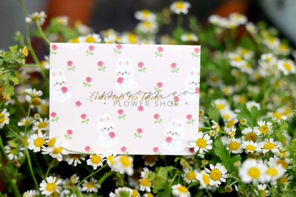 Thiệp Live Up To Love